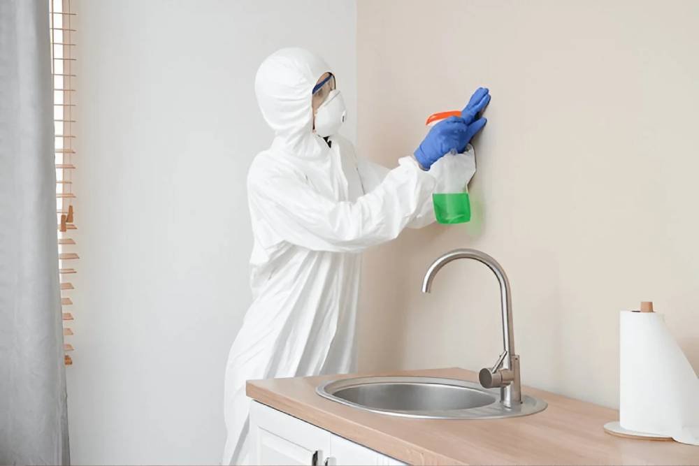 service-image