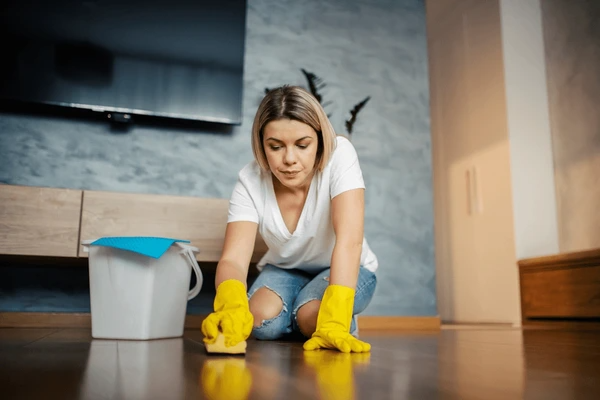 Affordable Cleaning Services Belconnen 3 codifyformatter 20