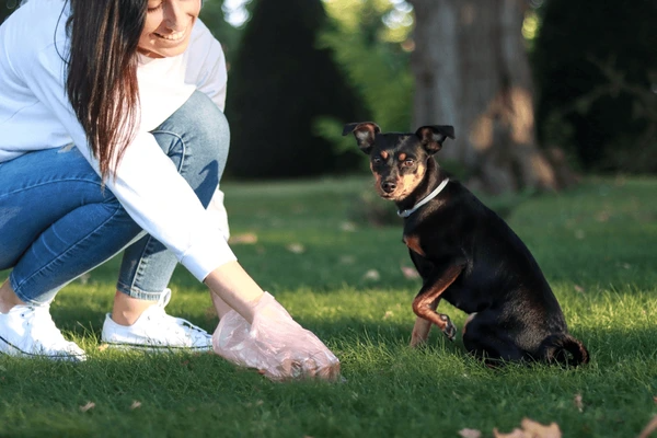 codifyformatter 2025 10 13T075915.398