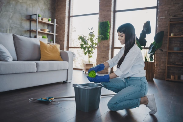 codifyformatter 2025 10 13T082848.171