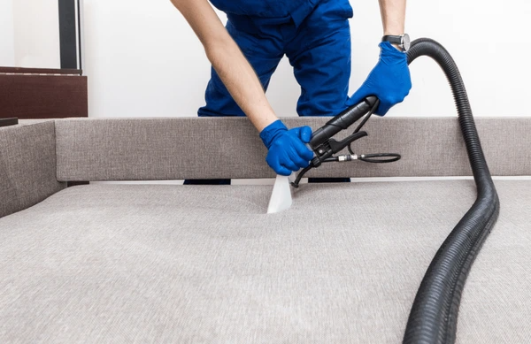 codifyformatter 2025 10 20T074945.548