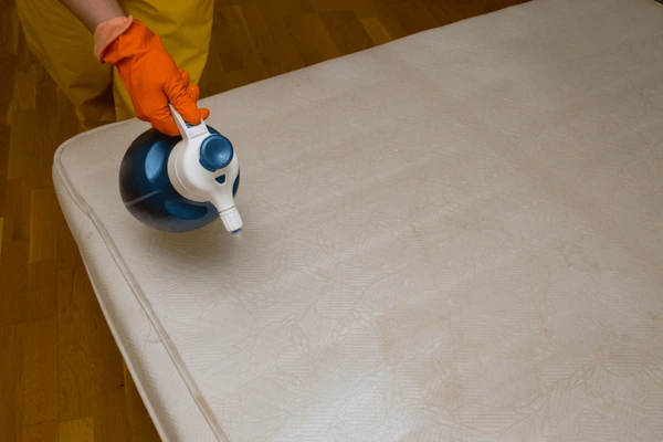 Upholstery Cleaning Belconnen 4 codifyformatter 2025 10 20T111903.262