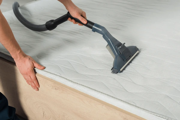 Carpet Cleaning Belconnen 4 codifyformatter 2025 10 20T111918.428