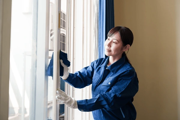 Window Cleaning Throsby