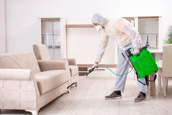 Sofa Cleaning Canberra Central