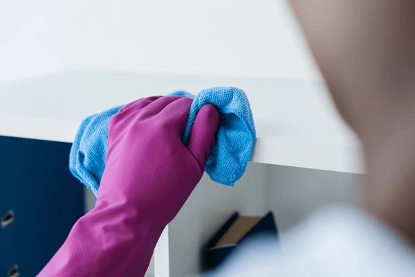 Upholstery Cleaning Bruce