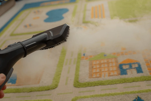 Carpet Steam Cleaning Belconnen 4 codifyformatter 51 2