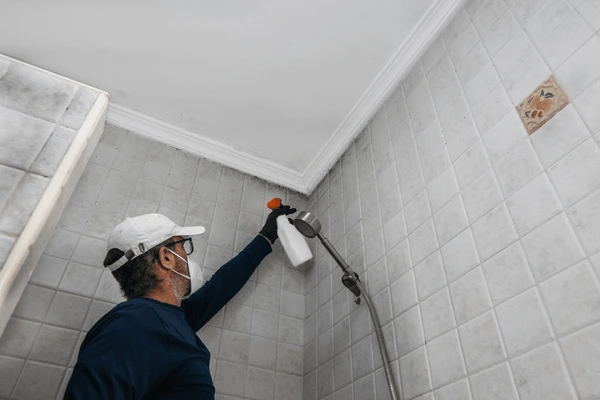 codifyformatter 53 1