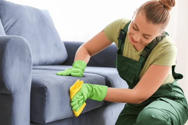 Couch Cleaning Belconnen 3 codifyformatter 53 2