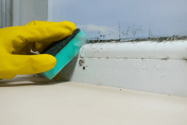 codifyformatter 57 1