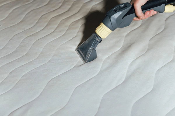 Mattress Cleaning Belconnen 3 codifyformatter 58 1