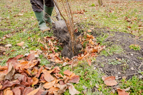 codifyformatter 94 2