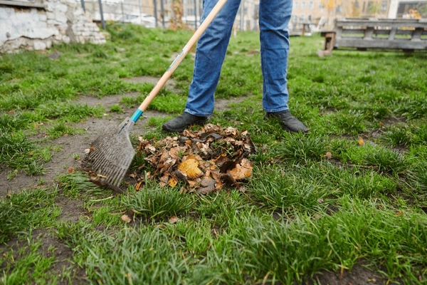 codifyformatter 95 2