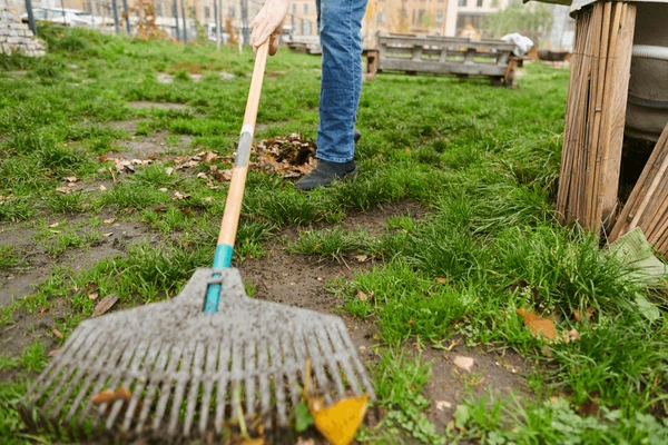 codifyformatter 96 1