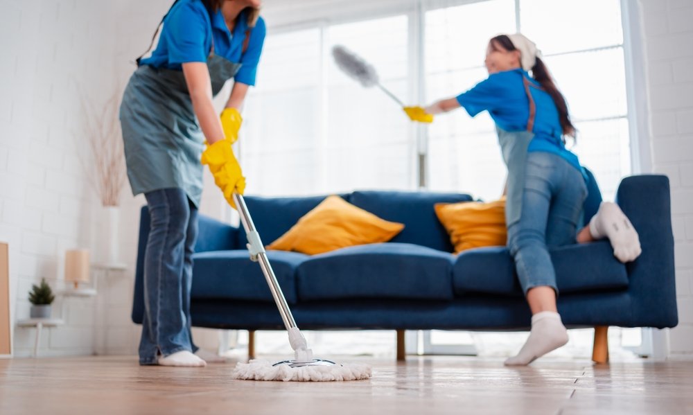 House Cleaning Throsby