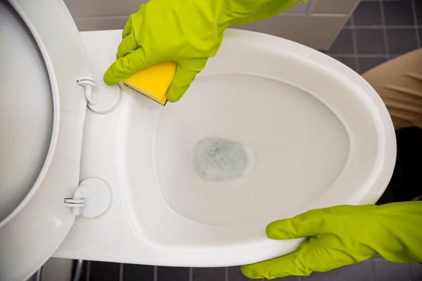 codifyformatter 2025 11 03T123844.844