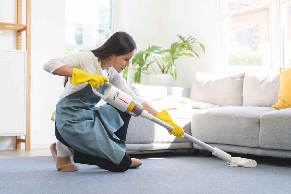 Apartment Cleaning Throsby