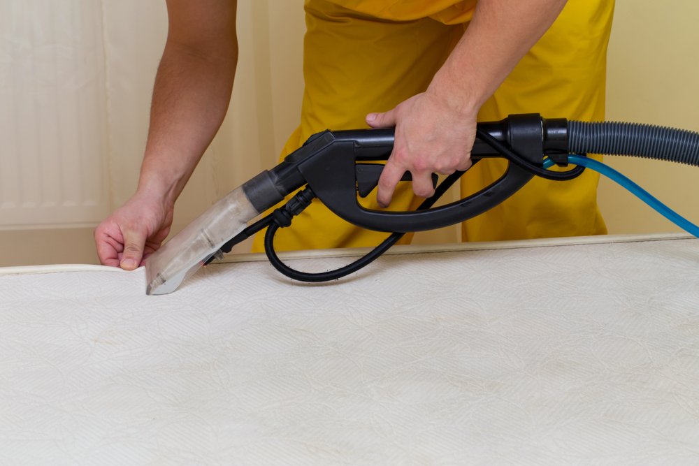 Upholstery Cleaning Tuggeranong