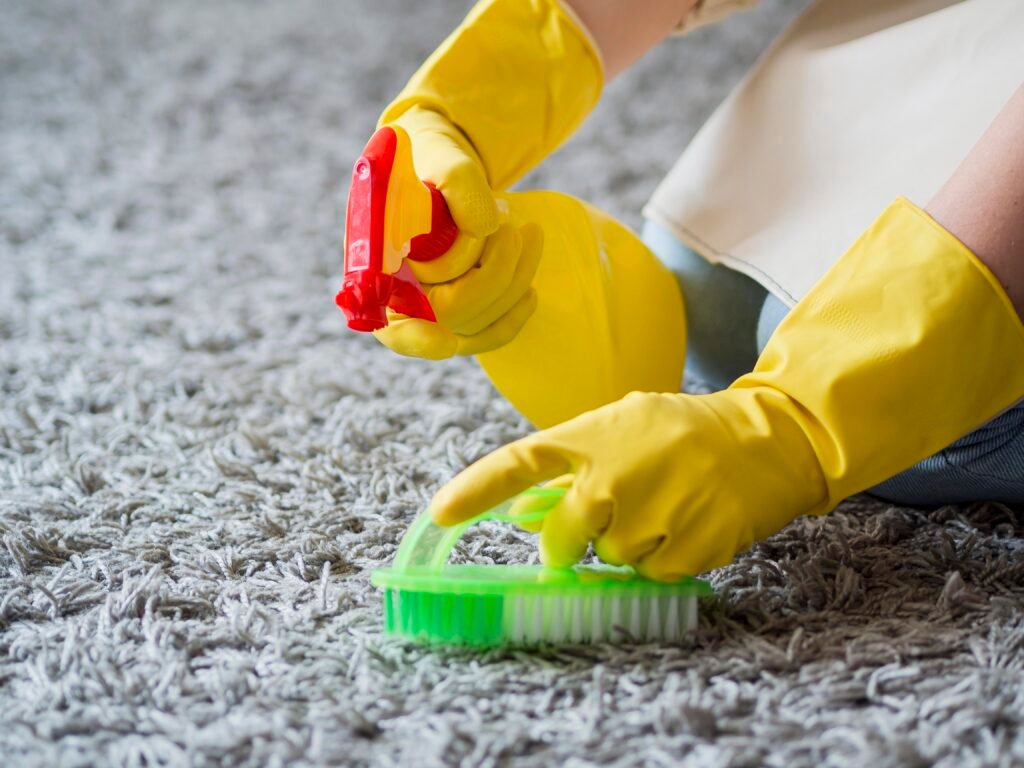 Carpet Cleaning Throsby