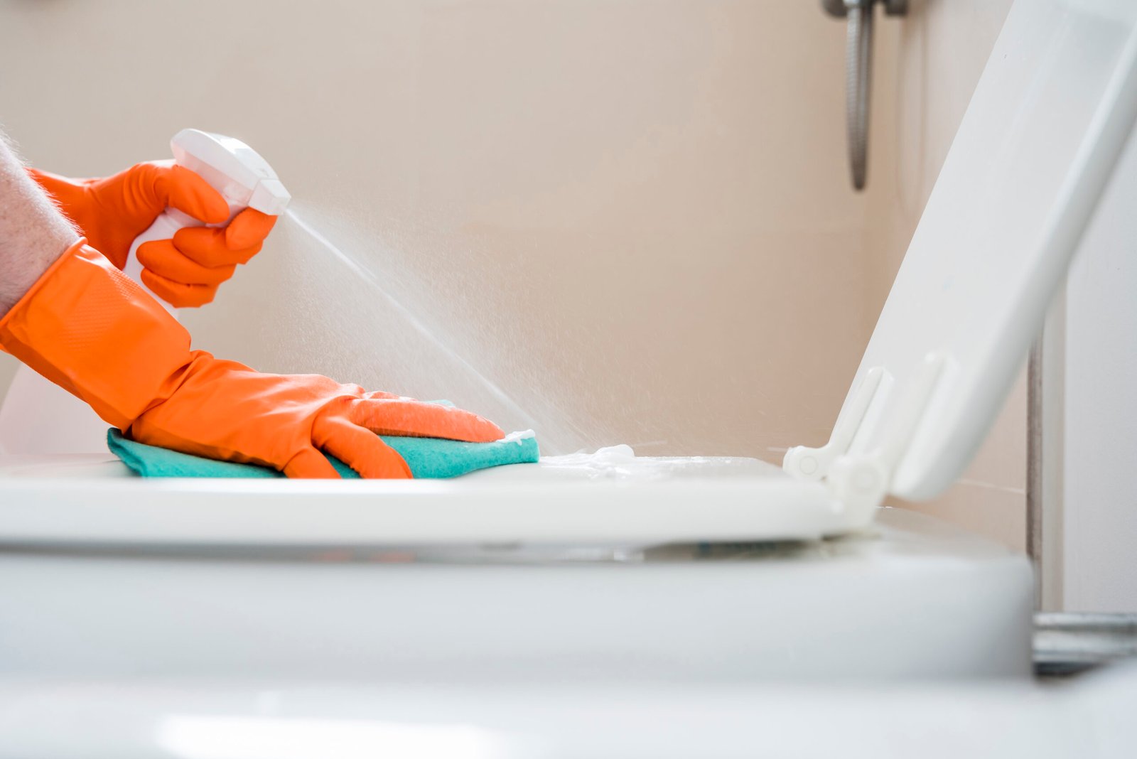 Bathroom Cleaning Throsby