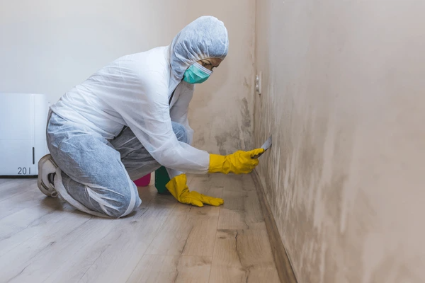 Mould Removal Canberra Central