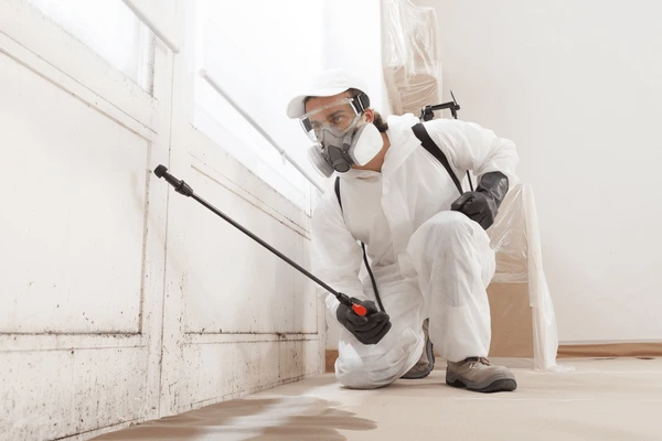 Mould Removal Canberra Central