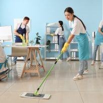 House Cleaning Tharwa