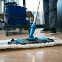 Fortnightly Cleaning Service Throsby