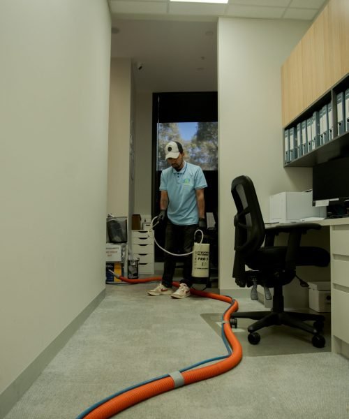 Eco friendly cleaning Canberra