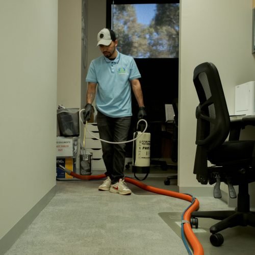 Domestic Cleaning Canberra