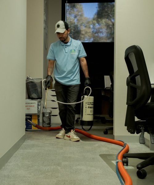 Domestic Cleaning Canberra