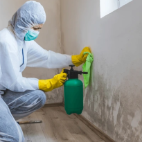 codifyformatter - 2025-10-09T130658.861