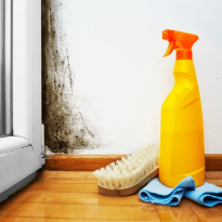 codifyformatter - 2025-10-10T150802.337