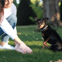 codifyformatter - 2025-10-13T075915.398