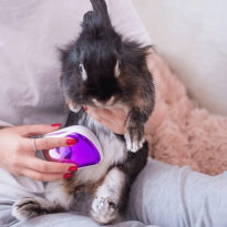 codifyformatter - 2025-10-13T080003.257