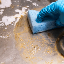 Mould Cleaning Throsby