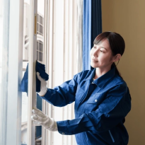 Window Cleaning Throsby