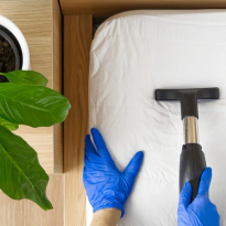 codifyformatter - 2025-10-28T082806.772