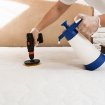 codifyformatter - 2025-10-28T082826.337