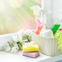 codifyformatter - 2025-10-29T072716.218