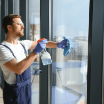 Window Cleaning Throsby