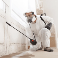 Mould Removal Tuggeranong