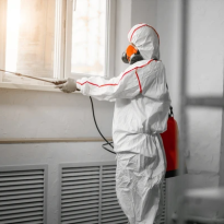 Mould Removal Tuggeranong