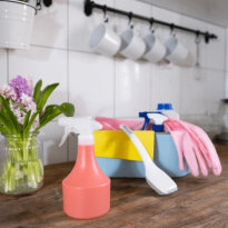 Regular Cleaning Hall