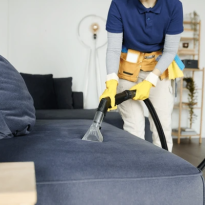 Deep Cleaning Tharwa