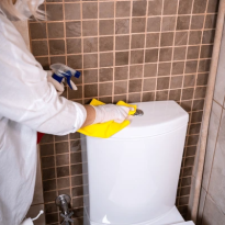 codifyformatter (28)