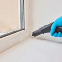 codifyformatter (31)