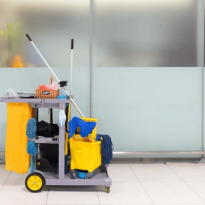 codifyformatter (49)