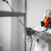 codifyformatter (51)