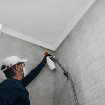 codifyformatter (53)